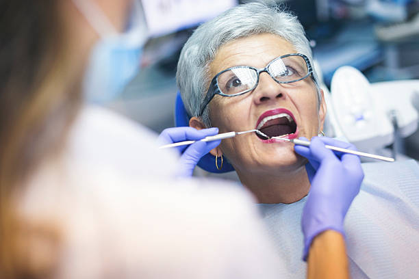 Professional  Holistic Dental Services in Port Byron, NY